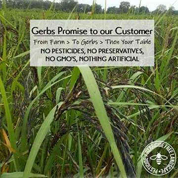 GERBS Wild Black Canadian Rice - Gluten Free & Nutritious