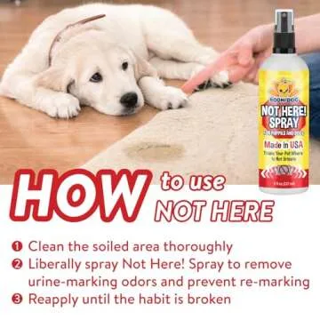Bodhi Dog Not Here Spray - Trains Your Pet Where Not to Pee Indoors or Outdoors - Anti Marking Deterrent for Furniture, Carpet and Floor - Training Corrector for Puppies & Dogs - Made in USA (8 Fl Oz)