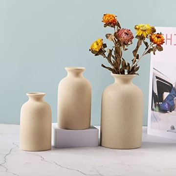 Charming Dry Flower Ceramic Vase for Every Decor