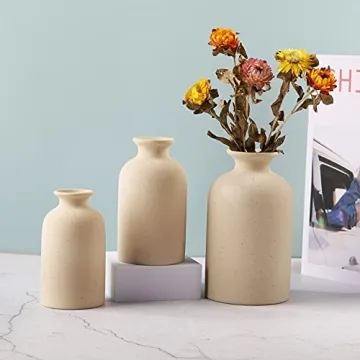 Charming Dry Flower Ceramic Vase for Every Decor