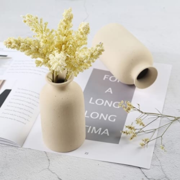 Charming Dry Flower Ceramic Vase for Every Decor