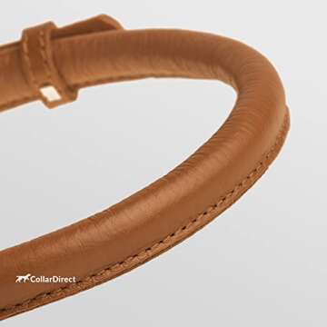 CollarDirect Rolled Leather Dog Collar, Soft Padded Round Puppy Collar, Handmade Genuine Leather Col...