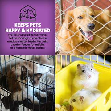 Poodle Pet Water Feeder - Easy Hydration for All Pets