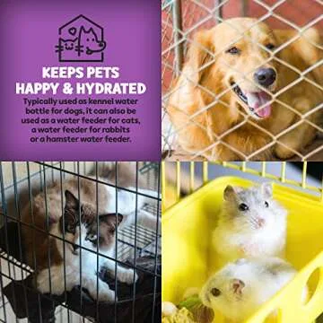 Poodle Pet Water Feeder - Easy Hydration for All Pets