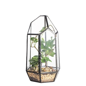 NCYP 5.1" Geometric Glass Terrarium for Succulents