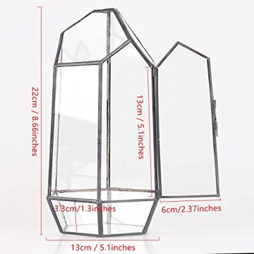 NCYP 5.1" Geometric Glass Terrarium for Succulents