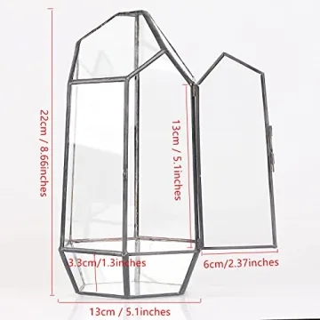 NCYP 5.1" Geometric Glass Terrarium for Succulents