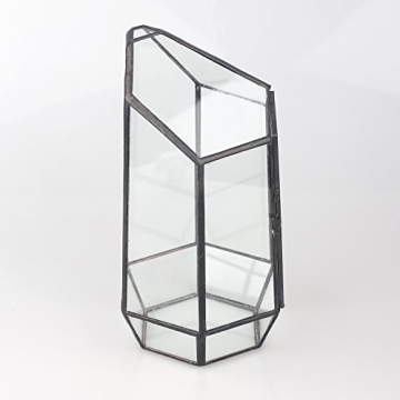 NCYP 5.1" Geometric Glass Terrarium for Succulents