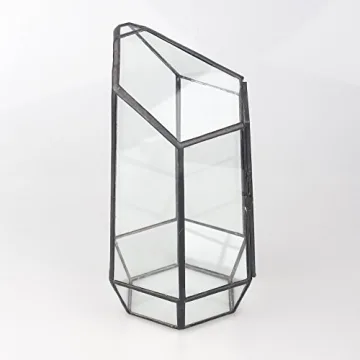 NCYP 5.1" Geometric Glass Terrarium for Succulents