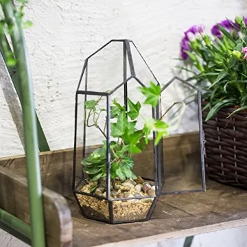 NCYP 5.1" Geometric Glass Terrarium for Succulents
