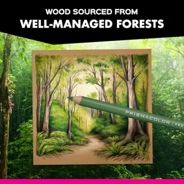 Prismacolor Colored Pencils Premier 72 Count Soft Core