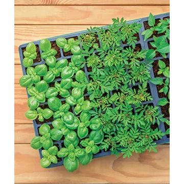 Burpee Indoor Seed Starting Kit - Grow Herbs & Vegetables