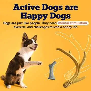 Durable Chew Toys Set for Puppies - Nylon Antlers