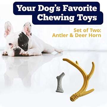 Durable Chew Toys Set for Puppies - Nylon Antlers