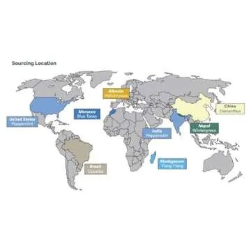 doTERRA Deep Blue Stick