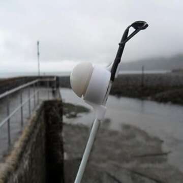 Lemonbest® Newest LED Night Fishing Strike Alert Glow Stick Bite Alarm, 3 Packs