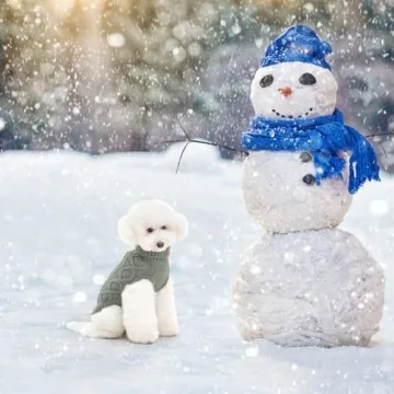 BINGPET Cozy Thermal Dog Sweater for All Breeds