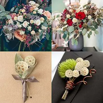 Dried Craspedia Billy Balls - 24 PCS Natural Floral Decor