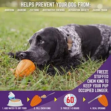 Chew King Premium Treat Dog Toy, Extremely Durable Natural Rubber Toy, Bacon Flavored Dog Toy Orange Medium