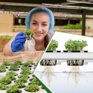 50 Rockwool Cubes with Plant Net Pots - Perfect Hydroponics Starter