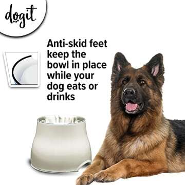 Dogit Elevated Dog Bowl, Stainless Steel Dog Food and Water Bowl for Large Dogs, White, 73753