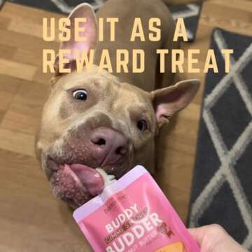 BUDDY BUDDER 6 Pack Mixed Flavor Squeeze Packs, 100% Natural Dog Peanut Butter, Healthy Peanut Butter Dog Treats, Made in USA, (4oz Packs)