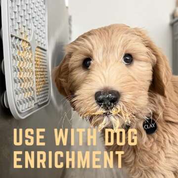 BUDDY BUDDER 6 Pack Mixed Flavor Squeeze Packs, 100% Natural Dog Peanut Butter, Healthy Peanut Butter Dog Treats, Made in USA, (4oz Packs)