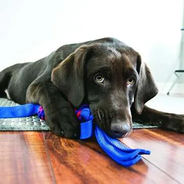 KONG Wubba Tugga - Durable Tug of War Toy for Large Dogs