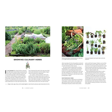 A Woman's Garden - Beautiful Plants and Creative Projects