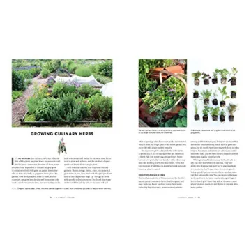 A Woman's Garden - Beautiful Plants and Creative Projects