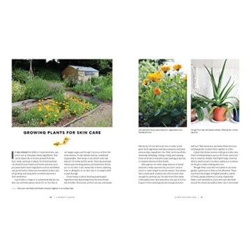 A Woman's Garden - Beautiful Plants and Creative Projects