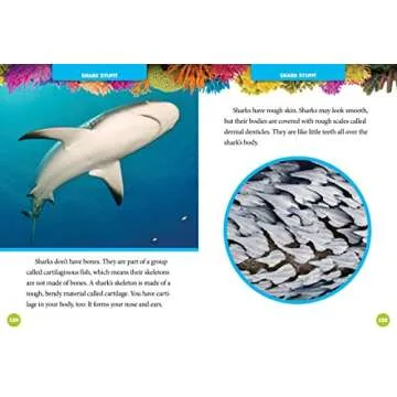 National Geographic Kids 5-Minute Shark Stories (5-Minute Stories)