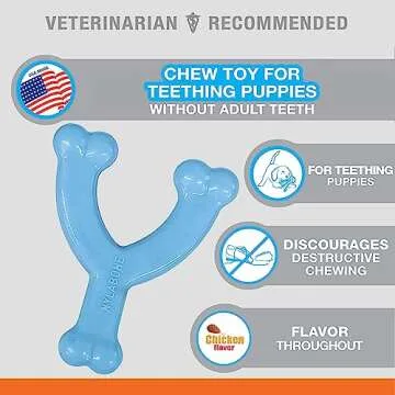 Nylabone Puppy Wishbone Chew Toy for Teething Fun