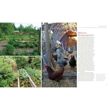 The Vegetable Gardener's Guide to Permaculture: Creating an Edible Ecosystem