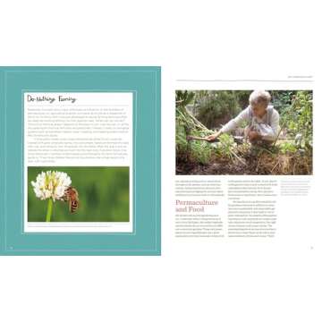 The Vegetable Gardener's Guide to Permaculture: Creating an Edible Ecosystem