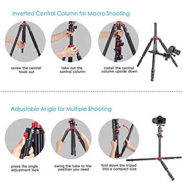 ZOMEi 75'' Tripod,Camera Tripod for DSLR,Ball Head Tripod Professional Tripods 4 Section Horizontal Tripod with 360 Degree Ball Head Plate for Canon DSLR DV Scope Camcorder and Projector