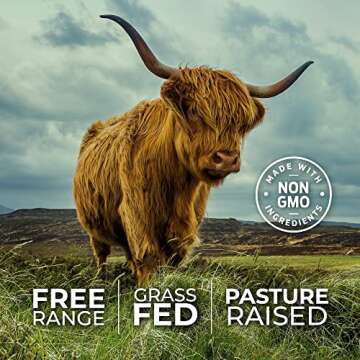 ForestLeaf Beef Organ Supplement - Grass Fed & Pasture Raised - Total Body Wellness & Performance, Organ Complex Desiccated Beef Liver, Heart, Kidney, Pancreas, Spleen (180 Capsules)