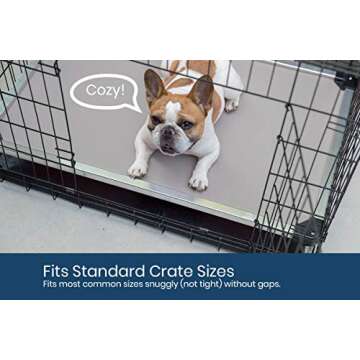 K9 Ballistics Chew Proof Elevated Dog Bed - Made for Aggressive Chewers, Indestructible Cot, Heavy Duty, 120-Day Warranty, Washable, Pre-Assembled, Fits Crates Medium 35"x22" Obsidian Black