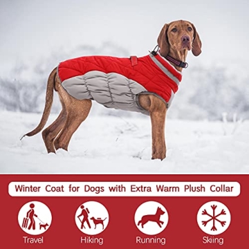 FUAMEY Waterproof Dog Winter Jacket for Small Dogs
