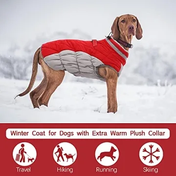 FUAMEY Waterproof Dog Winter Jacket for Small Dogs