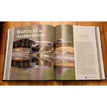 Hooks, Lies & Alibis: Louisiana's Authoritative Collection of Game Fish & Seafood Cookery by John D. Folse, Michaela York (2009) Hardcover