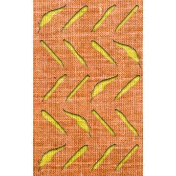 Write The Story Notebook—orange