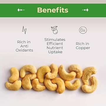 Sincerely Nuts Whole Cashews Roasted and Salted | Deluxe Kosher Nut Snack | Healthy Protein Source, ...