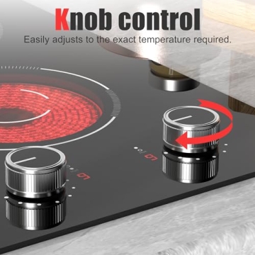 Karienvir 2 Burner Electric Cooktop for Versatile Cooking