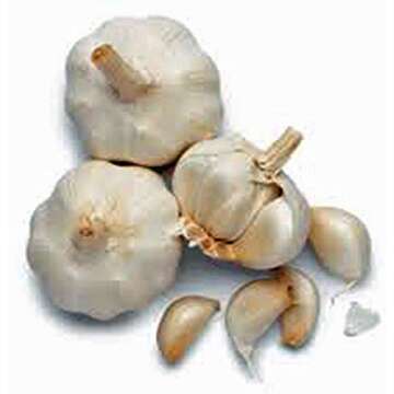 Fresh California Softneck Garlic Bulb for Planting and Eating