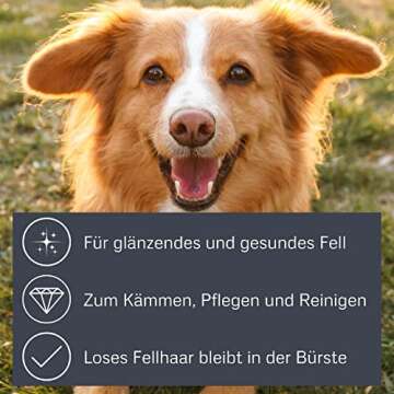 Alcott Bamboo Groom Slicker Brush for Pet Grooming