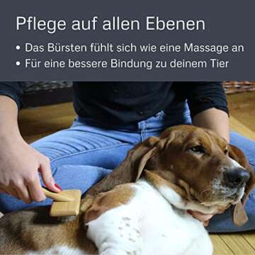 Alcott Bamboo Groom Slicker Brush for Pet Grooming