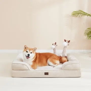 Orthopedic Memory Foam Dog Bed for Small Dogs