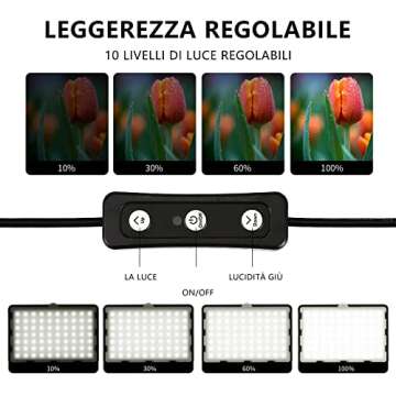 Photography Video Lighting Kit, LED Studio Streaming Lights W/70 Beads & Color Filter for Camera Photo Desktop Computer Conference Game Stream YouTube TikTok Portrait Shooting Pack of 2