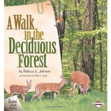 A Walk in the Deciduous Forest Education for Kids